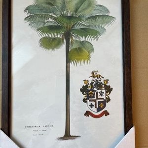 Island Time Tropical Palm Framed Print
